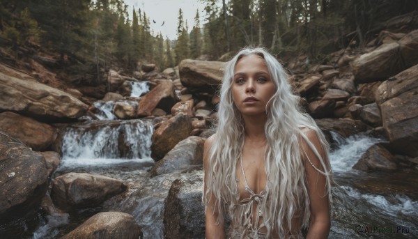 1girl,solo,long hair,breasts,looking at viewer,blue eyes,cleavage,jewelry,medium breasts,upper body,white hair,outdoors,parted lips,day,water,necklace,mole,tree,lips,wet,nature,forest,mole on breast,rock,realistic,river,waterfall,bare shoulders,signature,scenery