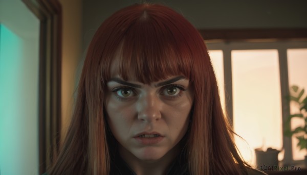 1girl,solo,long hair,looking at viewer,bangs,brown hair,brown eyes,parted lips,teeth,artist name,indoors,blunt bangs,orange hair,blurry,lips,eyelashes,window,depth of field,blurry background,plant,portrait,backlighting,freckles,realistic,nose,potted plant,open mouth,angry