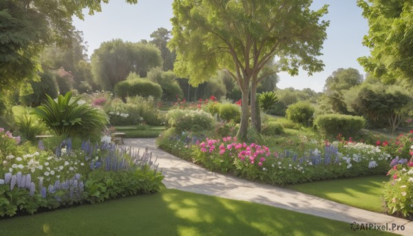 A garden set against the backdrop of a captivating day