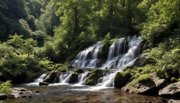 outdoors,day,water,tree,no humans,sunlight,nature,scenery,forest,rock,river,waterfall,moss,stream,landscape