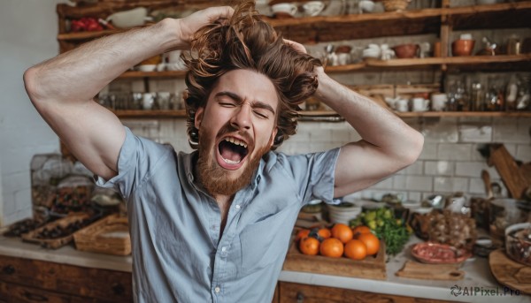 solo,open mouth,brown hair,shirt,1boy,closed eyes,upper body,short sleeves,male focus,food,teeth,collared shirt,indoors,blurry,arms up,cup,buttons,fruit,facial hair,blue shirt,sharp teeth,facing viewer,beard,realistic,mustache,meat,orange (fruit),kitchen,photo background,arm hair,hands on own head,short hair,tongue,hands up,blurry background,bottle,alcohol,bread,shouting,yawning,hands in hair,banana,screaming,potato,onion