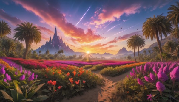 A unique subject framed by the beauty of a majestic sunset outdoors
