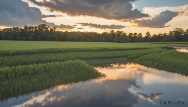 outdoors,sky,day,cloud,water,tree,blue sky,no humans,cloudy sky,grass,nature,scenery,forest,reflection,sunset,field,river,landscape,lake,reflective water,sunlight,sun