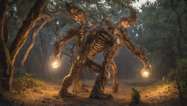 The charm of a monster in a bold outdoors