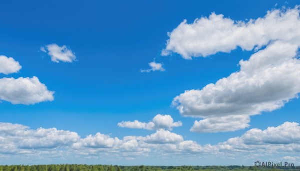 outdoors,sky,day,cloud,tree,blue sky,no humans,cloudy sky,grass,nature,scenery,forest,field,landscape,cumulonimbus cloud,summer