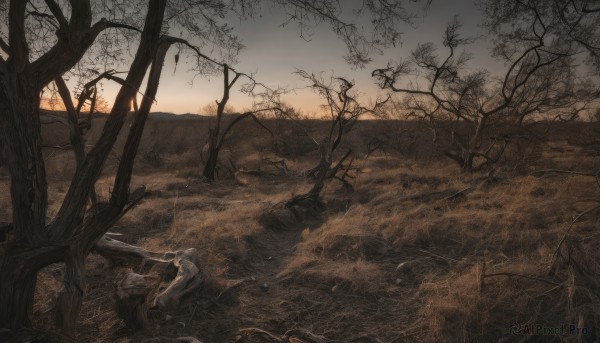 A tranquil sunset outdoors showcasing a female