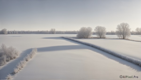 HQ,monochrome,outdoors,sky,day,water,tree,no humans,shadow,grass,nature,scenery,snow,forest,road,winter,bare tree,river,greyscale,reflection,fog