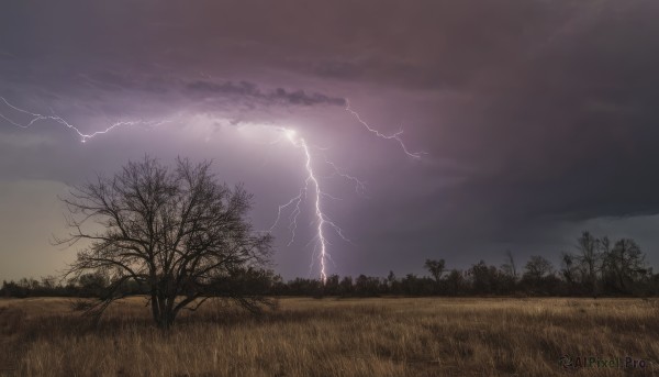 outdoors,sky,cloud,tree,no humans,cloudy sky,grass,nature,scenery,forest,electricity,field,bare tree,lightning,landscape,horizon,overcast