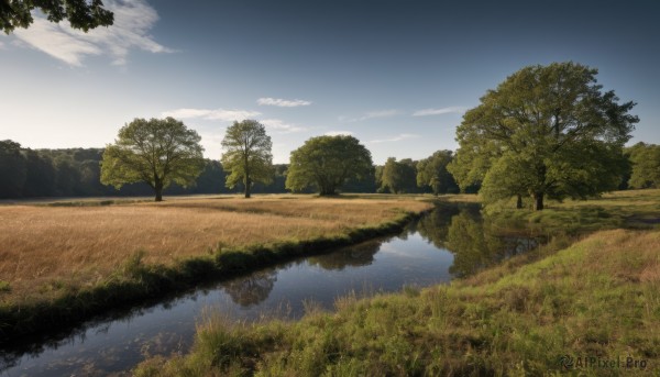 outdoors,sky,day,cloud,water,tree,blue sky,no humans,cloudy sky,grass,plant,nature,scenery,forest,reflection,bush,river,landscape,lake,reflective water