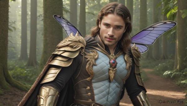 solo,long hair,looking at viewer,smile,brown hair,1boy,brown eyes,closed mouth,upper body,male focus,outdoors,wings,day,cape,armor,tree,lips,facial hair,shoulder armor,nature,beard,forest,pauldrons,gold trim,breastplate,realistic,butterfly wings,chainmail,gauntlets,gem,nose,fairy wings,black cape,bush,insect wings