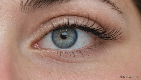 1girl,solo,looking at viewer,blue eyes,eyelashes,close-up,reflection,realistic,eye focus,black hair,1boy,male focus