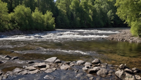 outdoors,day,water,tree,no humans,beach,sunlight,nature,scenery,forest,rock,river,shore,stream