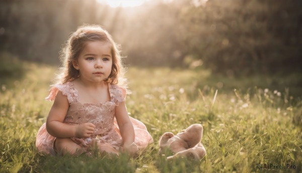 1girl,solo,long hair,blue eyes,brown hair,dress,holding,sitting,flower,outdoors,shoes,day,white dress,blurry,flat chest,depth of field,blurry background,grass,child,veil,realistic,female child,field,on ground,looking at viewer,brown eyes,parted lips,lips,sunlight,aged down