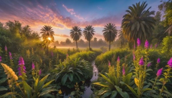 A glimpse of a unique subject in a picturesque sunset outdoors