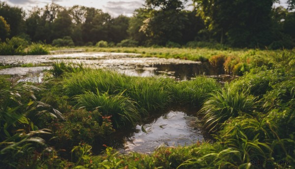 A landscape in the heart of a majestic day