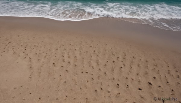 outdoors,day,water,no humans,bird,ocean,beach,scenery,sand,waves,shore,footprints,from above