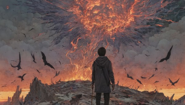 solo,short hair,black hair,long sleeves,1boy,holding,standing,jacket,weapon,male focus,outdoors,sky,pants,sword,cloud,hood,from behind,holding weapon,coat,blood,hoodie,bird,animal,holding sword,black pants,hood down,cloudy sky,fire,scenery,smoke,rock,dragon,arms at sides,facing away,cane,crow,burning,molten rock,flock,wide shot