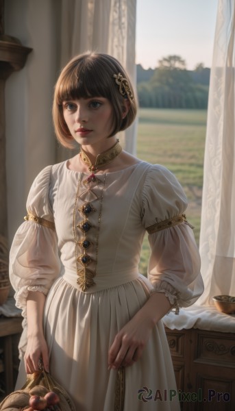 1girl,solo,short hair,bangs,blue eyes,brown hair,black hair,hair ornament,long sleeves,dress,holding,brown eyes,jewelry,standing,outdoors,parted lips,food,choker,day,puffy sleeves,indoors,blunt bangs,necklace,white dress,blurry,black eyes,lips,looking to the side,window,fruit,blurry background,looking away,bob cut,curtains,gem,corset,puffy long sleeves,realistic,nose,apple,basket,cross-laced clothes,holding basket,closed mouth,collarbone,flower,flat chest,watermark