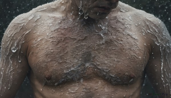 solo,1boy,nipples,upper body,male focus,nude,water,armor,wet,muscular,facial hair,abs,pectorals,muscular male,bara,close-up,large pectorals,rain,veins,water drop,realistic,head out of frame,manly,chest hair,arm hair,hairy,body hair,pectoral focus,mature male