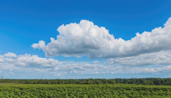A idyllic landscape within a lush day