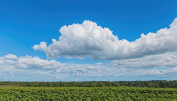 outdoors,sky,day,cloud,tree,blue sky,no humans,cloudy sky,grass,nature,scenery,forest,field,landscape,hill,summer,power lines