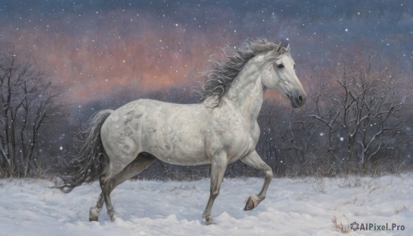 The allure of a unique subject in a dynamic snowy outdoors