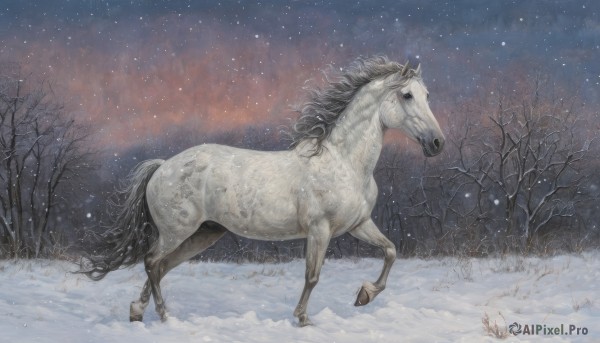 solo,outdoors,horns,sky,signature,tree,no humans,night,animal,traditional media,star (sky),nature,night sky,scenery,snow,starry sky,snowing,realistic,winter,horse,bare tree,unicorn,grass