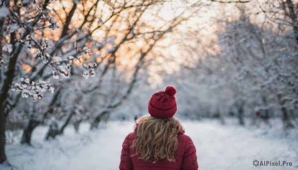 1girl, solo, long hair, blonde hair, hat, jacket, upper body, outdoors, day, from behind, blurry, tree, coat, depth of field, scenery, red headwear, red jacket, snow, branch, beanie, winter clothes, facing away, winter, red coat