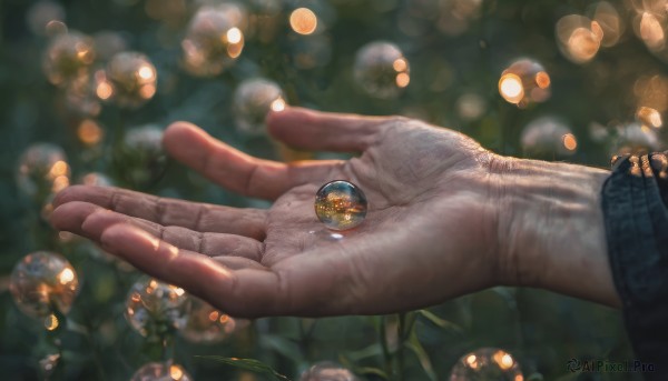 long sleeves, flower, blurry, fingernails, depth of field, blurry background, gem, close-up, out of frame, realistic