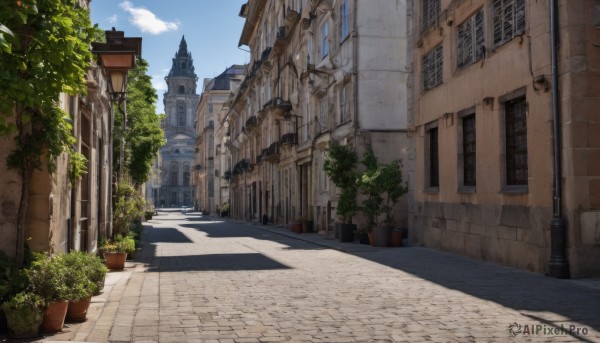 The elegance of a street in a ethereal day