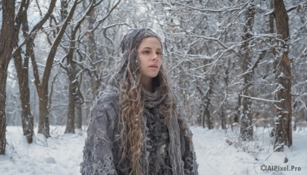 A majestic snowy outdoors featuring a female