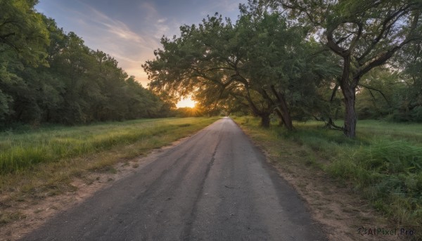 outdoors,sky,day,cloud,tree,blue sky,no humans,sunlight,cloudy sky,grass,nature,scenery,forest,sunset,sun,road,bush,landscape,path,shadow,field