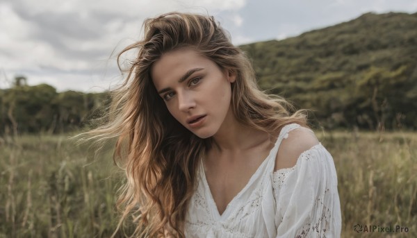 1girl,solo,long hair,looking at viewer,blue eyes,brown hair,shirt,dress,brown eyes,collarbone,white shirt,upper body,outdoors,parted lips,sky,day,cloud,white dress,blurry,lips,grey eyes,depth of field,blurry background,wavy hair,cloudy sky,freckles,realistic,nose,field,teeth,head tilt,floating hair,grass,wind,messy hair