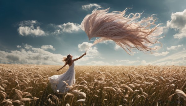 1girl, solo, long hair, brown hair, dress, outdoors, sky, sleeveless, day, cloud, white dress, sleeveless dress, cloudy sky, scenery, sundress, field, wheat