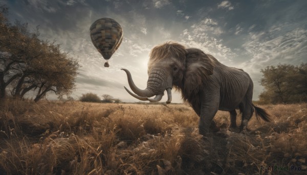 A stunning portrayal of a unique subject in a breathtaking outdoors