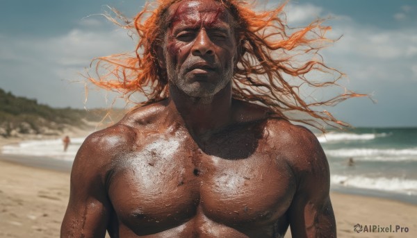 The majestic beauty of a male set within a dynamic day