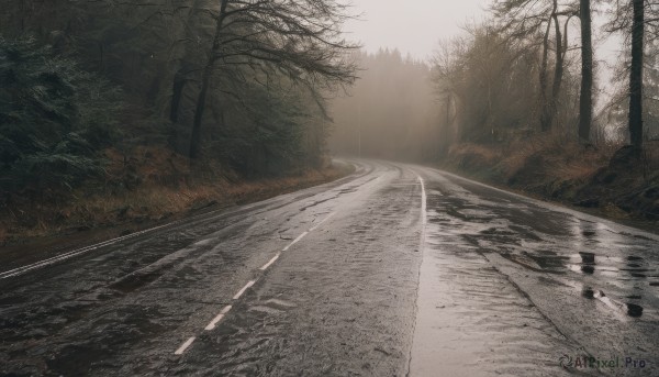 outdoors,water,tree,no humans,sunlight,grass,nature,scenery,forest,reflection,road,bare tree,river,landscape,puddle,fog,sky,day,bush,path