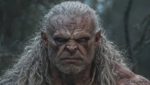 solo,long hair,looking at viewer,1boy,jewelry,closed mouth,upper body,white hair,male focus,earrings,pointy ears,blurry,blurry background,facial hair,scar,thick eyebrows,portrait,beard,scar on face,mature male,realistic,mustache,scar across eye,manly,old,old man,wrinkled skin,blue eyes,grey hair,grey eyes,frown,curly hair