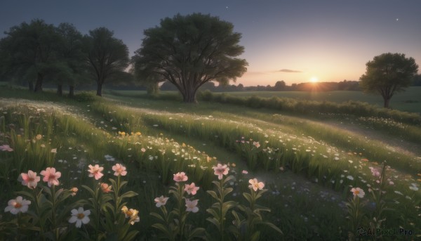 A vivid sunset outdoors showcasing a landscape
