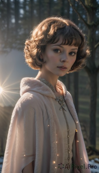 1girl,solo,looking at viewer,short hair,bangs,brown hair,dress,brown eyes,jewelry,closed mouth,upper body,outdoors,day,artist name,hood,necklace,blurry,black eyes,tree,lips,fur trim,depth of field,blurry background,watermark,sunlight,cloak,snow,backlighting,freckles,curly hair,realistic,nose,winter,breasts,blue eyes,earrings,parted lips,cape,white dress,from side,looking to the side,eyelashes,snowing