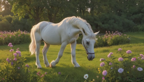 blue eyes,flower,outdoors,horns,day,tree,no humans,animal,sunlight,grass,plant,white flower,nature,scenery,pink flower,forest,realistic,purple flower,animal focus,horse,unicorn,standing,full body,signature,bush,goat