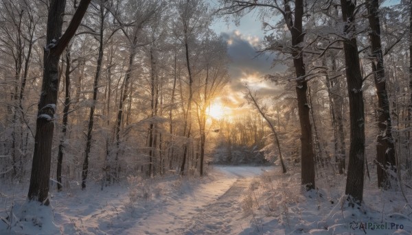 A majestic snowy outdoors featuring a landscape