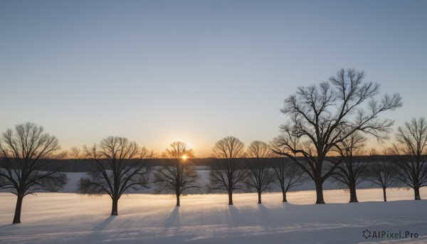 outdoors,sky,cloud,water,tree,blue sky,no humans,shadow,nature,scenery,snow,reflection,sunset,sun,winter,bare tree,lake,gradient sky,sunrise,ocean,horizon,reflective water