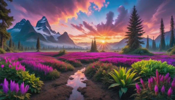 A landscape surrounded by a lush sunset outdoors