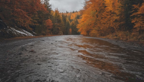 outdoors,sky,day,cloud,tree,no humans,leaf,cloudy sky,nature,scenery,forest,road,autumn leaves,autumn,landscape,grey sky,path,water,traditional media,snow,mountain,realistic,river