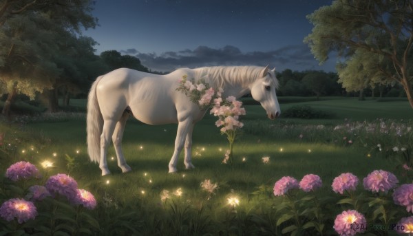 flower,outdoors,sky,cloud,tree,no humans,night,glowing,animal,grass,star (sky),nature,night sky,scenery,pink flower,forest,starry sky,field,horse,unicorn,flower field