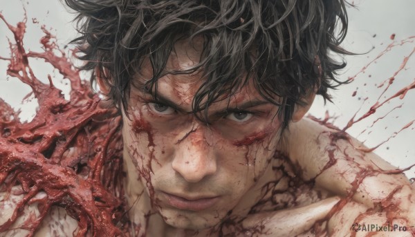 solo,looking at viewer,short hair,simple background,black hair,1boy,closed mouth,male focus,grey background,black eyes,lips,grey eyes,blood,scar,messy hair,portrait,injury,blood on face,realistic,blood splatter,bangs,white background,scar on face,veins,serious,bleeding,scratches