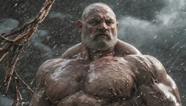 solo,looking at viewer,short hair,1boy,closed mouth,nipples,upper body,white hair,male focus,outdoors,sky,cloud,muscular,facial hair,abs,cloudy sky,pectorals,muscular male,bara,beard,snow,large pectorals,rain,veins,topless male,snowing,mature male,realistic,mustache,bald,manly,old,chest hair,old man,arm hair,grey sky,veiny arms,closed eyes,nude,scar,thick eyebrows,scar on face,scar across eye,wrinkled skin