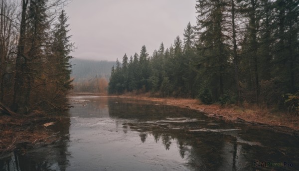 outdoors,sky,day,cloud,water,tree,no humans,nature,scenery,snow,forest,reflection,mountain,winter,bare tree,river,landscape,lake,fog,reflective water,pine tree,grass