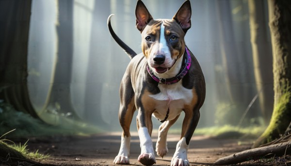 HQ,solo,looking at viewer,blue eyes,full body,outdoors,day,signature,blurry,collar,tree,no humans,depth of field,blurry background,animal,sunlight,grass,nature,forest,dog,realistic,animal focus,open mouth,standing,tongue,animal collar